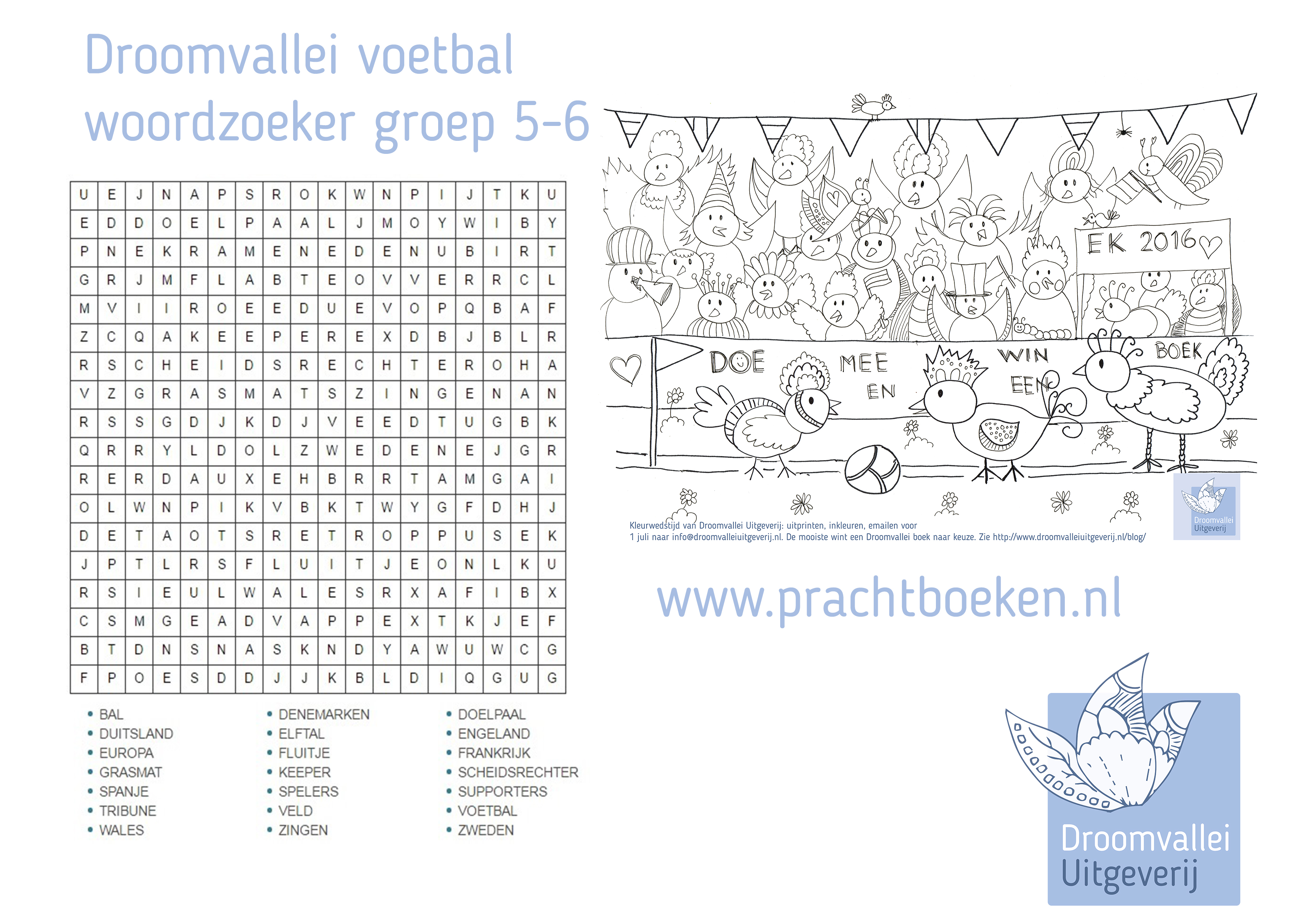 Spiksplinternieuw droomvallei woordzoeker groep 5-6 voetbal ZF-78