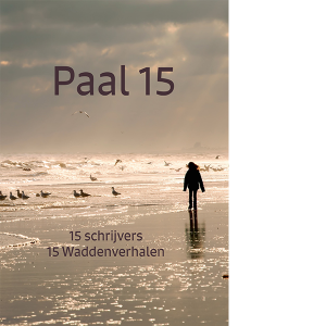 Paal 15