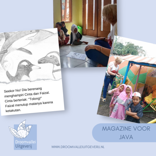 https://www.droomvalleiuitgeverij.nl/een-mooi-boekenproject-op-java-help-je-mee/